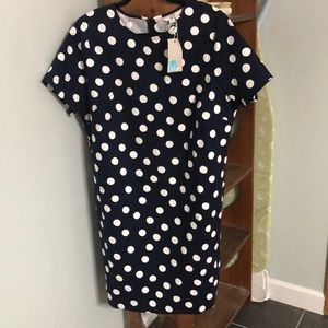 Boden Polka Dot dress NWT